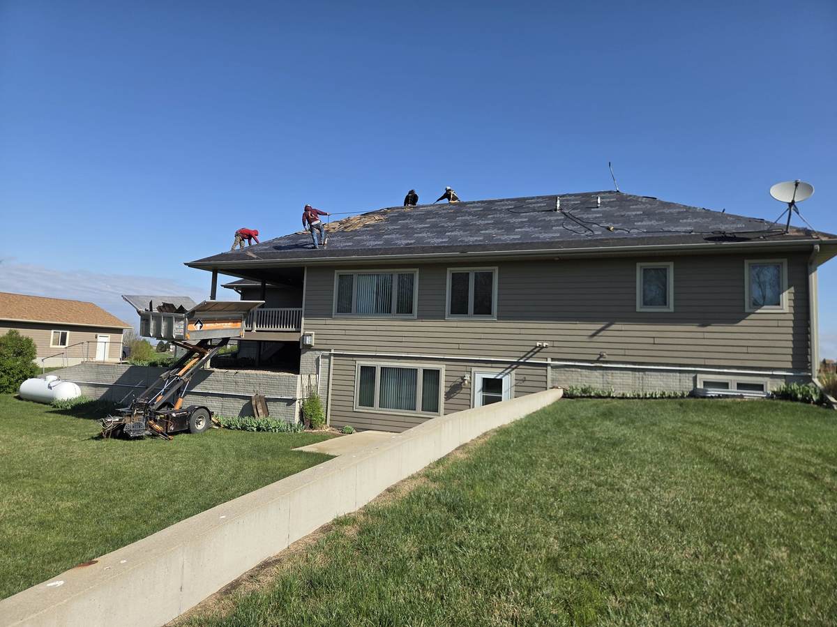 Roof Maintenance